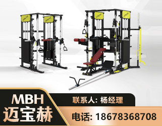 伊春多功能综合训练器