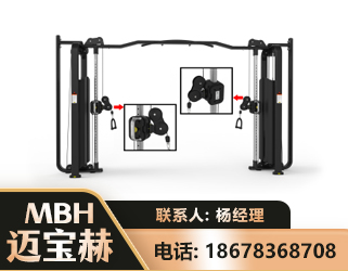 伊春大飞鸟训练器
