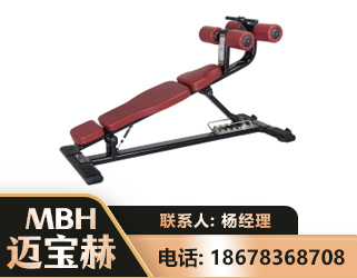 伊春可调腹肌板